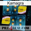 Kamagra cialis5